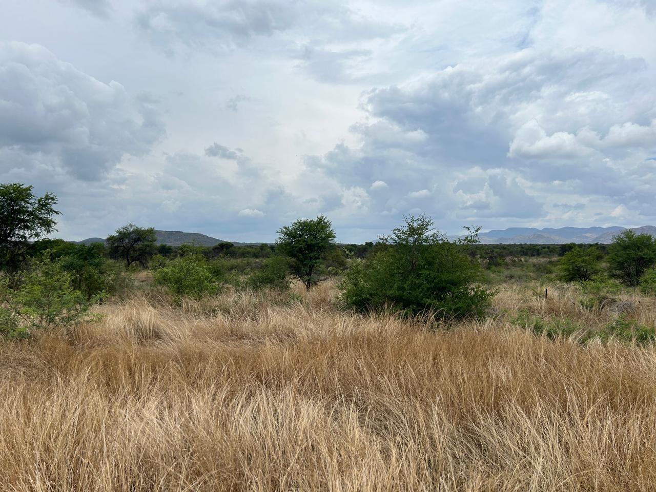 Environmental Project Experience South Africa