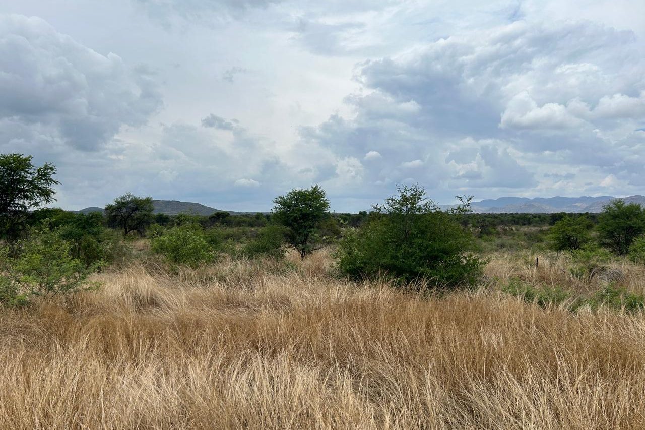 Environmental Project Experience South Africa